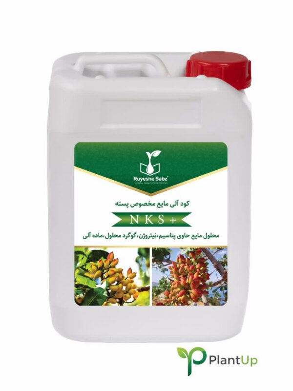 کود 5 لیتری مایع مخصوص پسته +NKS - Image 1