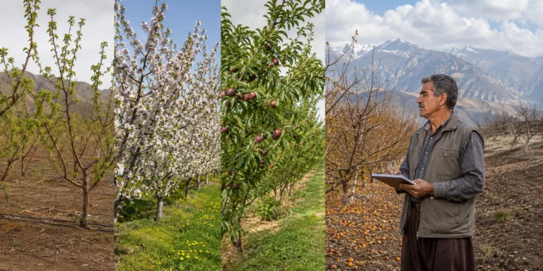 تقویم کوددهی باغات میوه در اقلیم ایران
